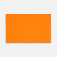 Лейбл тканевый Epsilon, XL, оранжевый неон