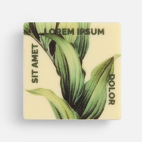 Печенье Dream White в белом шоколаде, квадрат