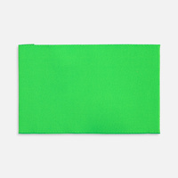 Лейбл тканевый Epsilon, XL, зеленый неон