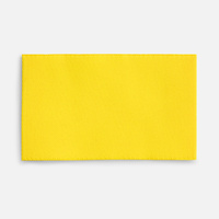 Лейбл тканевый Epsilon, M, желтый