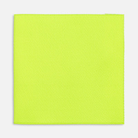 Лейбл тканевый Epsilon, L, желтый неон